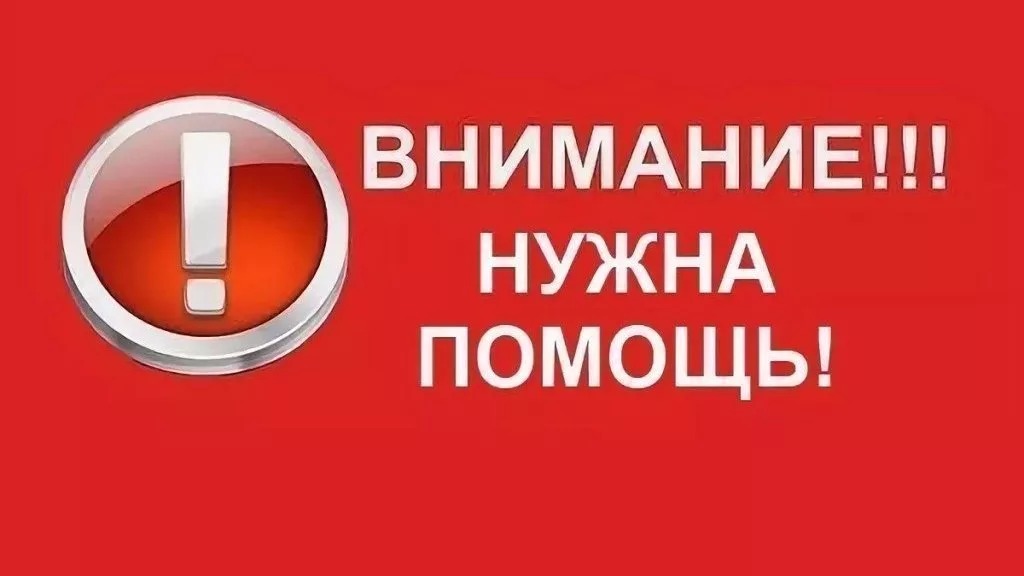 Внимание нужна ваша помощь картинки