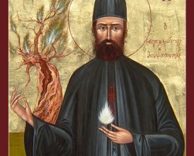 p1e8h4beu0stf1p7m101a1nvsjtk3